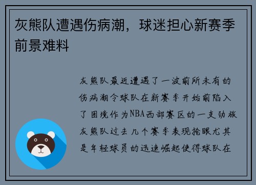 灰熊队遭遇伤病潮，球迷担心新赛季前景难料