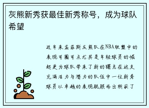 灰熊新秀获最佳新秀称号，成为球队希望